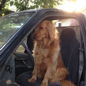 Meet your Posher, Kristen